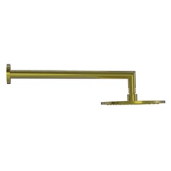 Bassini Overhead Wall Shower Brushed Gold S58901