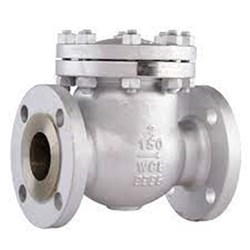BS Flanged Swing Check Valve 65mm TD
