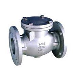 BS Flanged Swing Check Valve 80mm TD