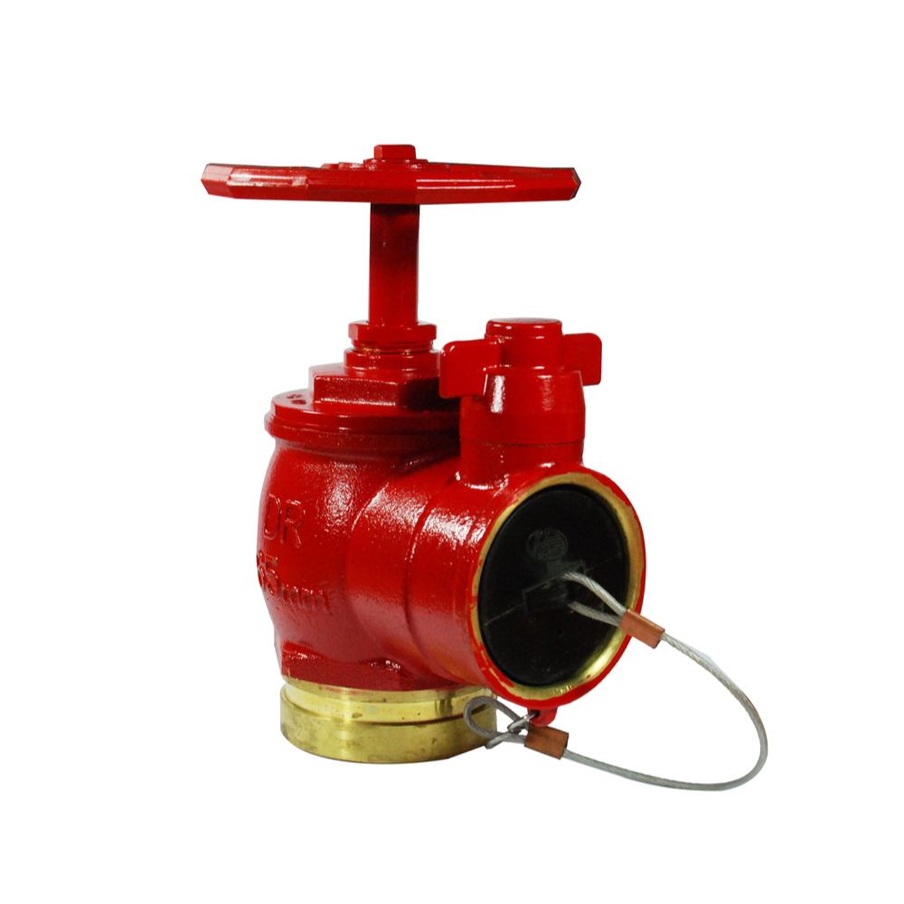 Hydrants & Components