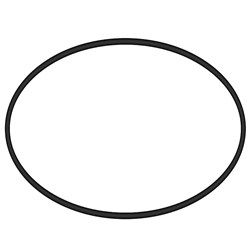 Waterco O Ring To Suit Opal Lid 62027