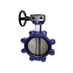 CI FBE WMK Lugged Butterfly Valve SS Disc TE 100mm