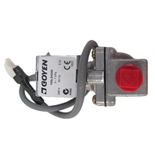 Rheem Solar Solenoid Valve 299656