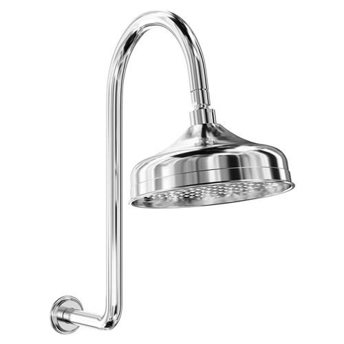 Fienza Lilliam Wall Arm Gooseneck Shower